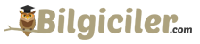 http://www.bilgiciler.com logo